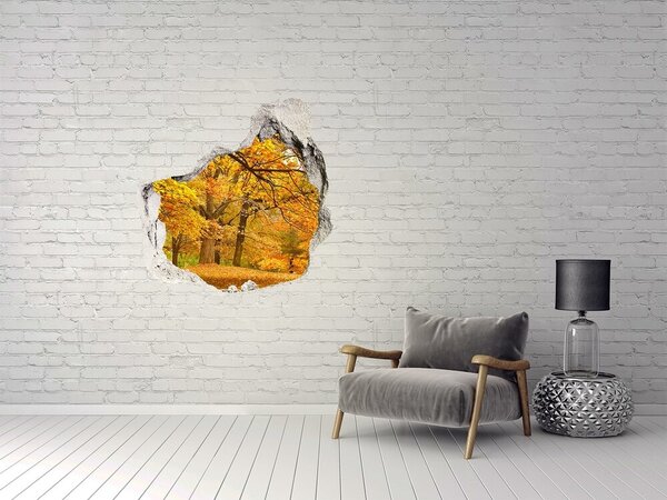 Fototapet 3D gaură în perete Toamnă aurie în pădure
