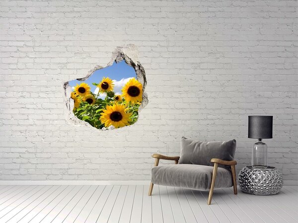Fototapet 3D gaură în perete Floarea-soarelui în lumina zilei
