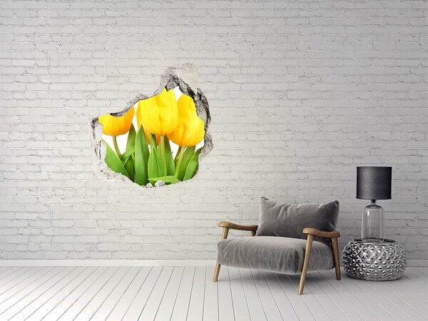 Autocolant 3D gaura cu priveliște Flori de lalea într-o gaură în perete