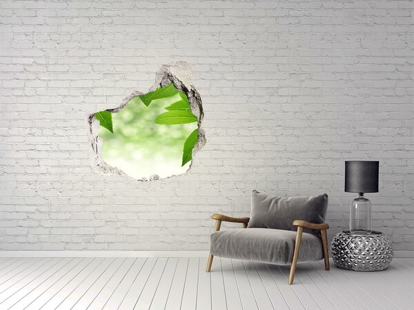 Fototapet 3D gaură în perete O oază verde în beton
