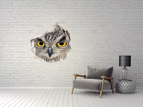 Autocolant 3D gaura cu priveliște Bufniță în beton