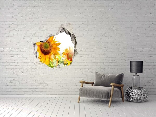 Fototapet 3D gaură în perete Un vis floral în spatele peretelui