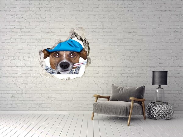 Fototapet un zid spart cu priveliște Câine bolnav cu pălărie