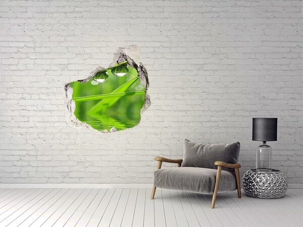 Autocolant gaură 3D Oază verde cu picături de apă