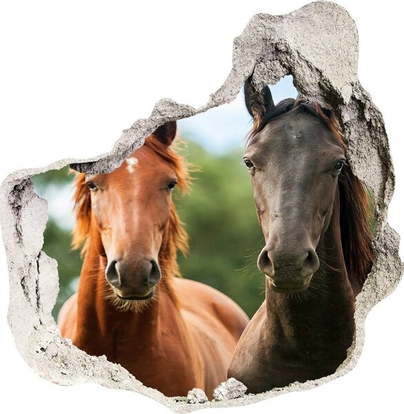 Fototapet un zid spart cu priveliște trei cai