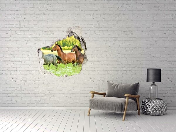 Fototapet 3D gaură în perete Alergând cai în natură