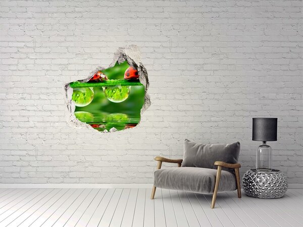 Autocolant gaură 3D O picătură de natură cu o buburuză