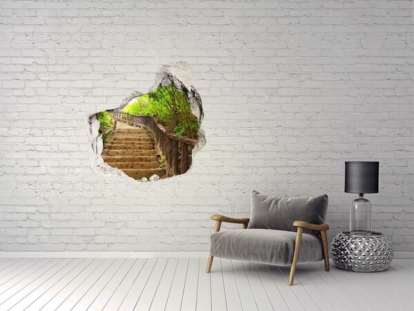 Fototapet 3D gaură în perete Calea de pădure în munți