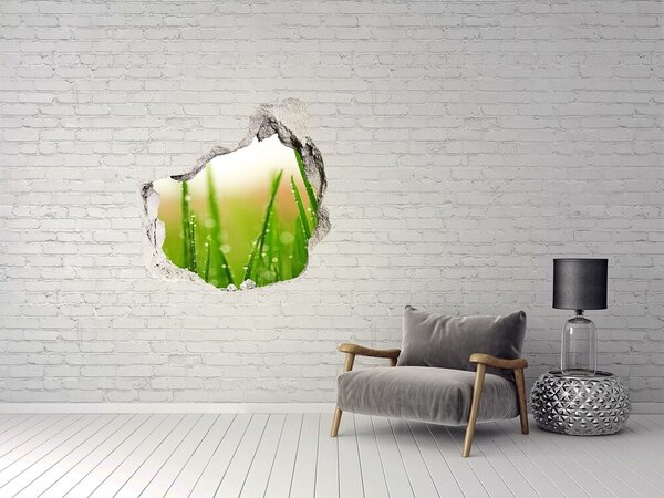 Autocolant de perete gaură 3D Pajiște verde cu picături de apă