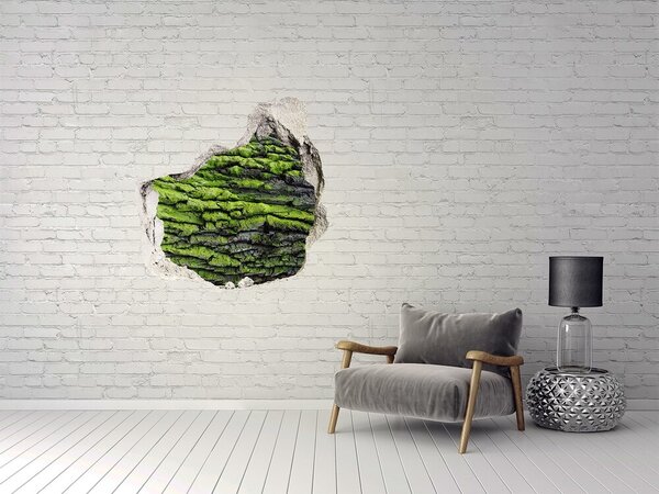 Fototapet 3D gaură în perete Piatră verde în gaură