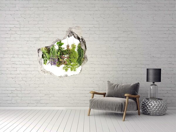 Autocolant un zid spart cu priveliște Grădină de plante aromatice verzi