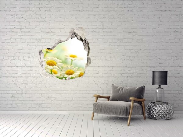 Autocolant gaură 3D Un paradis al florilor în spatele zidului