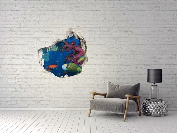 Fototapet 3D gaură în perete Paradisul coralilor subacvatici