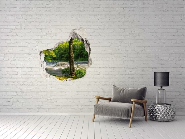 Autocolant gaură 3D Pădurea verde de lângă râu