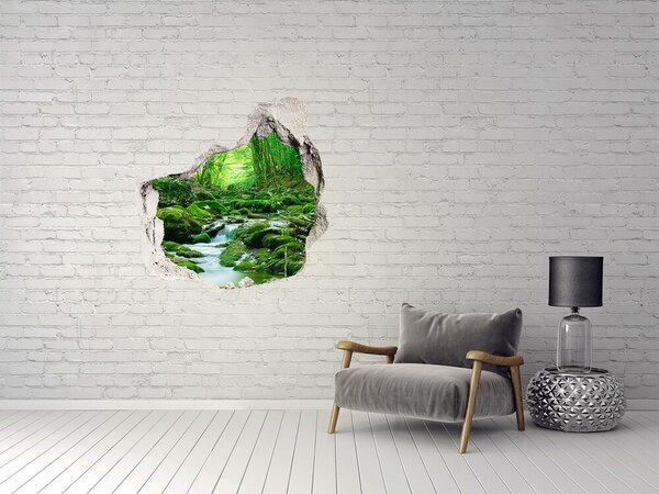 Fototapet 3D gaură în perete Pârâu verde în pădure