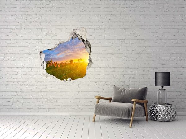 Autocolant de perete gaură 3D Floarea-soarelui la apus