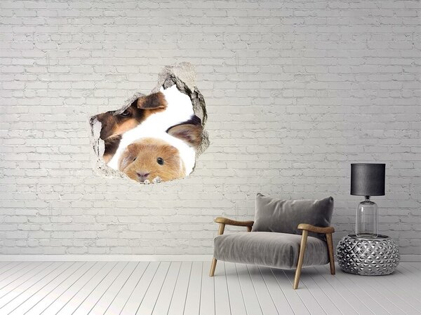 Autocolant 3D gaura cu priveliște Animale de dincolo de zid
