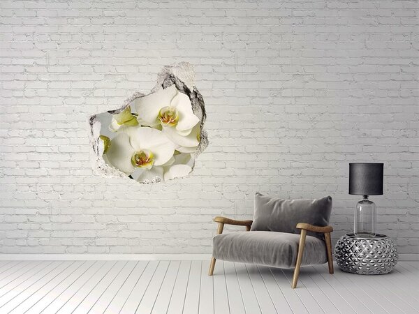 Fototapet 3D gaură în perete Flori în beton