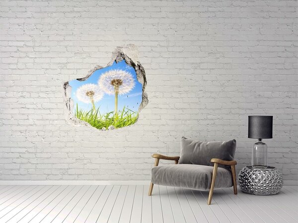 Autocolant gaură 3D Flori de păpădie pe cer