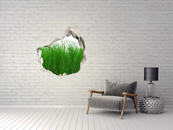 Fototapet 3D gaură în perete Pajiște verde printr-o gaură în perete