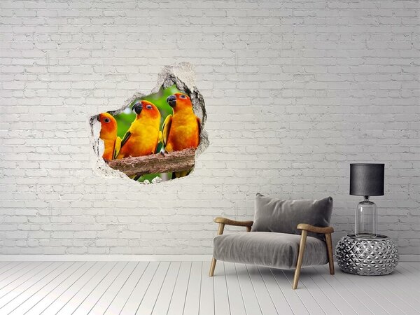Autocolant un zid spart cu priveliște Papagali tropicali într-o gaură în perete