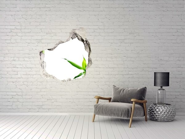 Autocolant un zid spart cu priveliște Plantă verde printr-o gaură în perete