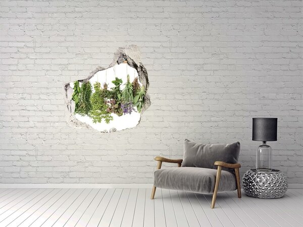 Autocolant un zid spart cu priveliște Grădină de plante aromatice în zid