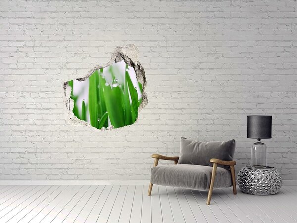 Fototapet 3D gaură în perete Pajiște verde cu picături de apă