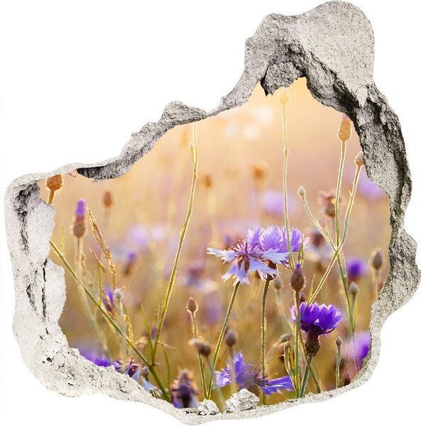 Autocolant autoadeziv gaură flori de câmp