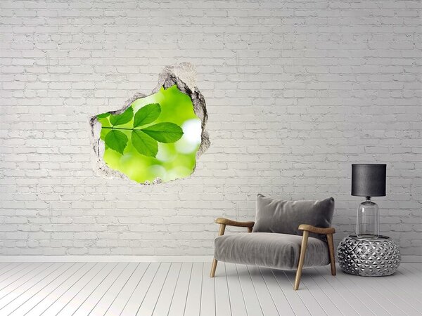 Autocolant 3D gaura cu priveliște O oază verde în beton