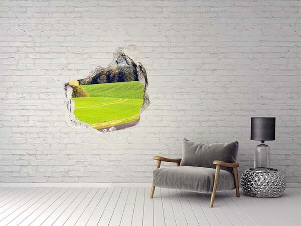 Fototapet 3D gaură în perete Pajiște verde în spatele zidului