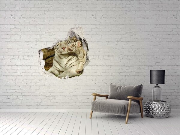 Fototapet 3D gaură în perete Tigri albi în natură