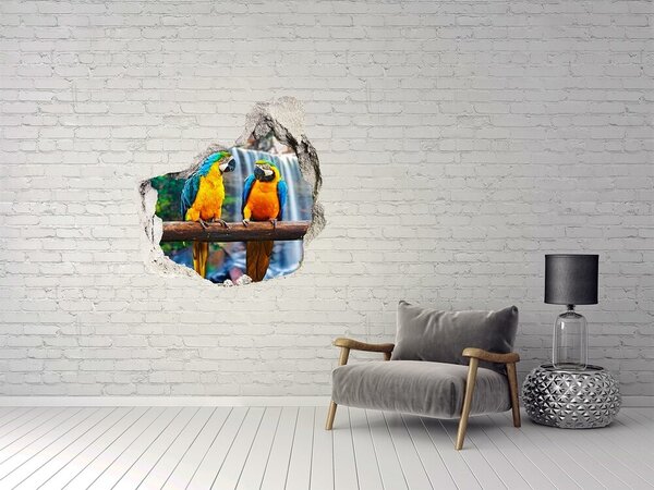 Autocolant de perete gaură 3D Papagalii paradisului la cascadă