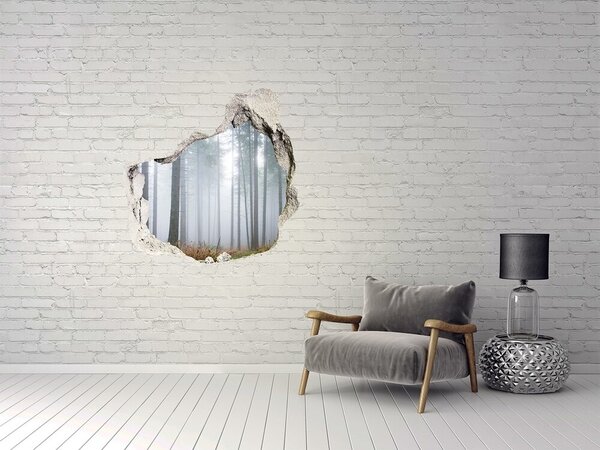 Fototapet 3D gaură în perete Pădurea încețoșată