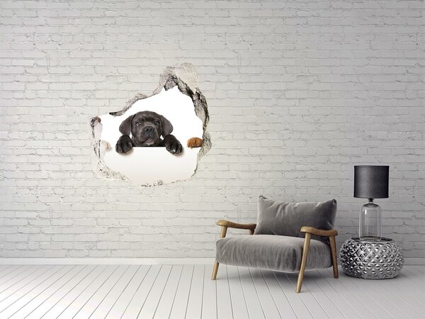 Autocolant gaură 3D Cățeluș dulce de după perete