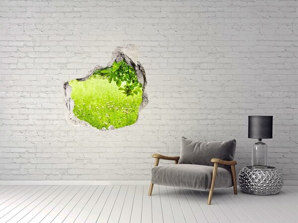 Fototapet 3D gaură în perete O pajiște verde în spatele zidului