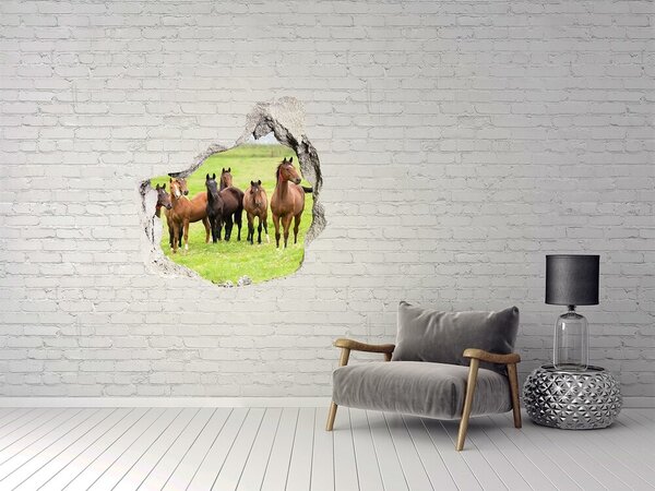 Fototapet 3D gaură în perete O turmă de cai pe pășune