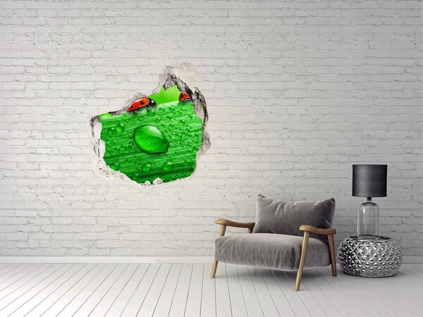 Autocolant gaură 3D O picătură de rouă pe o frunză