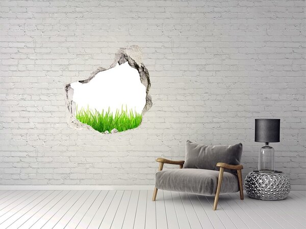 Fototapet un zid spart cu priveliște O pajiște verde în spatele zidului