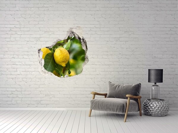 Autocolant de perete gaură 3D Grădina de lămâi din spatele zidului