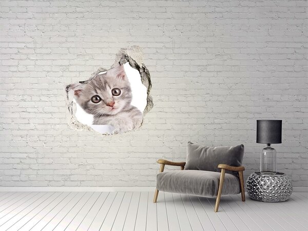Fototapet 3D gaură în perete Pisicuță într-o gaură în perete