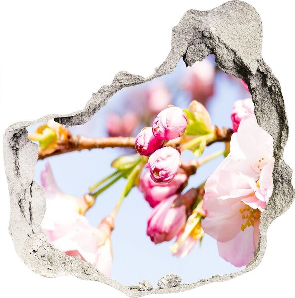 Autocolant de perete gaură 3D flori de cireș