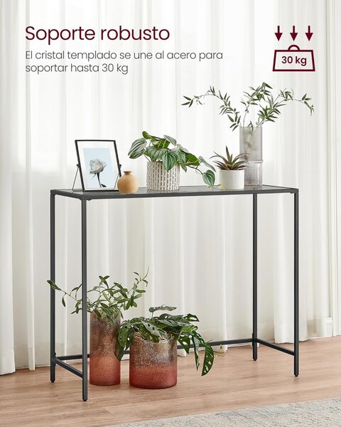 Consola Vasagle Gri 100.5x20x80 cm