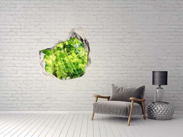 Autocolant de perete gaură 3D Pădurea verde în razele soarelui