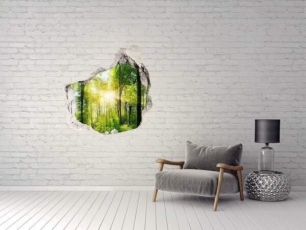 Autocolant de perete gaură 3D Pădure verde cu raze de soare