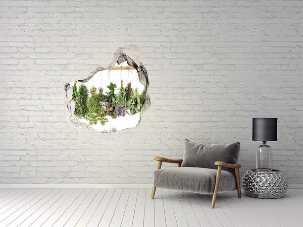 Fototapet 3D gaură în perete Grădina de plante aromatice „Gauă în perete”