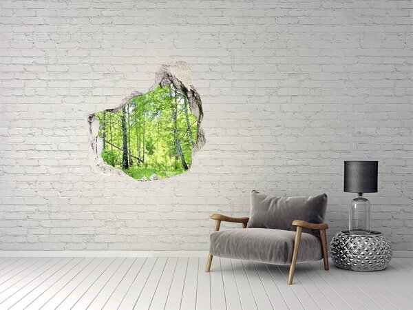 Fototapet 3D gaură în perete Pădurea verde în lumina soarelui