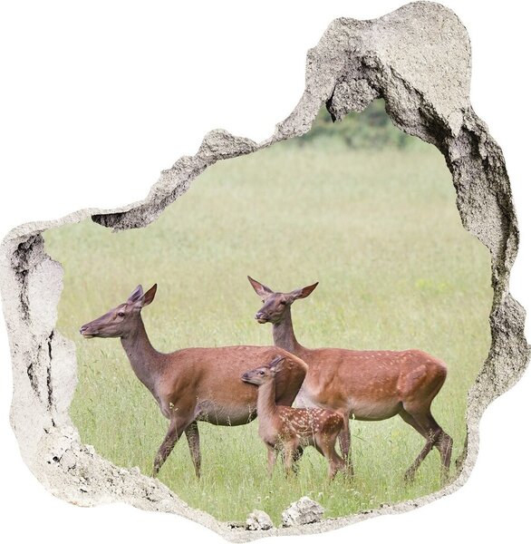 Fototapet 3D gaură în perete Deer cu tinere