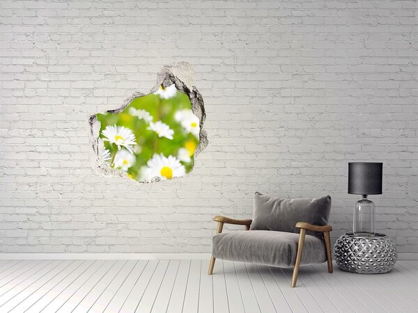Autocolant gaură 3D Un paradis al florilor în spatele zidurilor