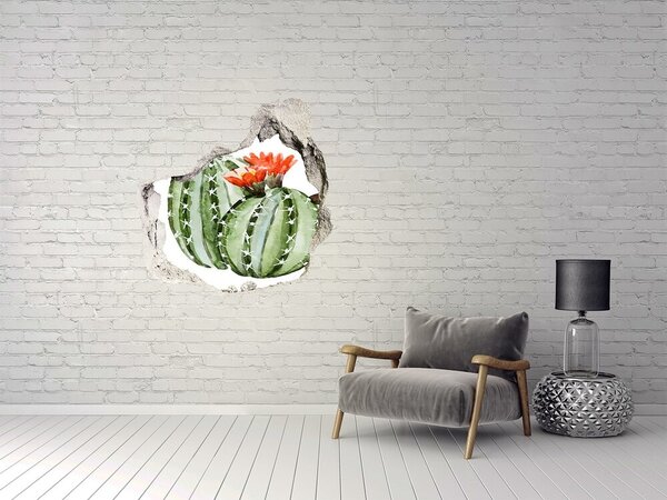 Fototapet un zid spart cu priveliște Un cactus cu o floare într-o gaură în perete